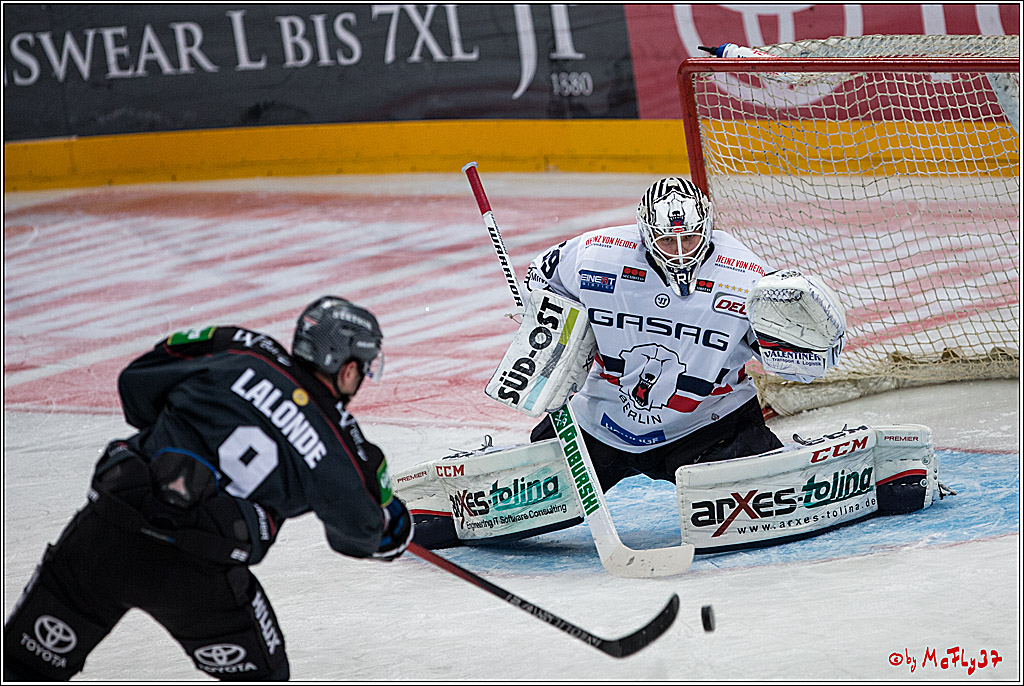 Koelner Haie - Eisbaeren Berlin, 13.11.2016